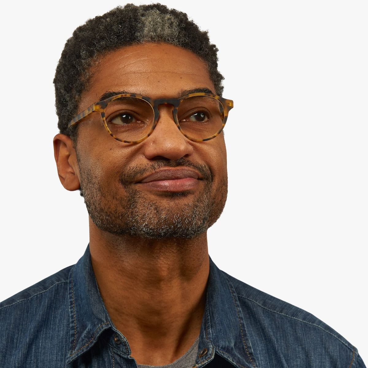 Shop Trondheim Light Turtle Blue light glasses online Luxreaders