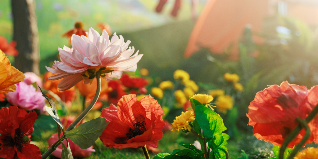 Buy reading top glasses online