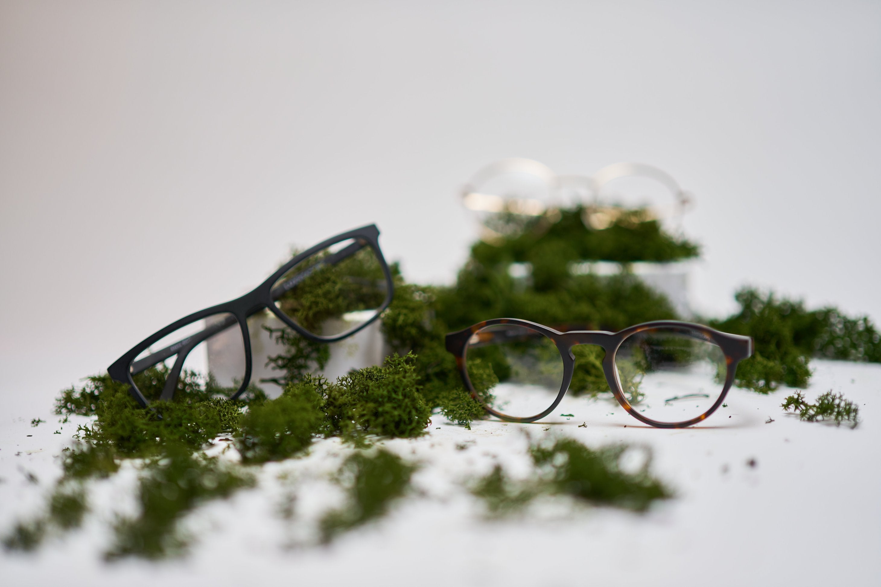 Eco-friendly initiatives