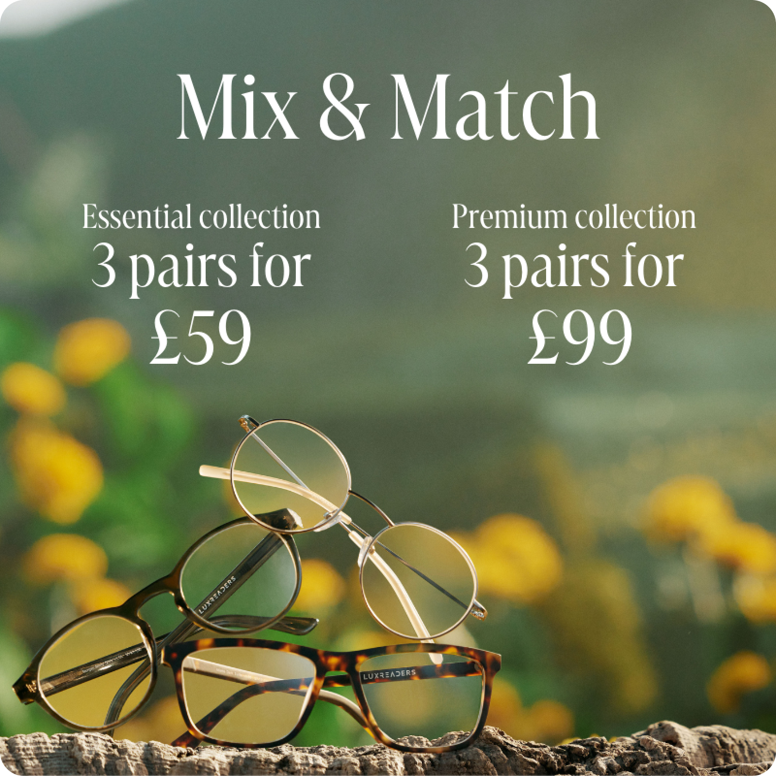 Reading glasses for women 3 pairs for 59 incl. shipping