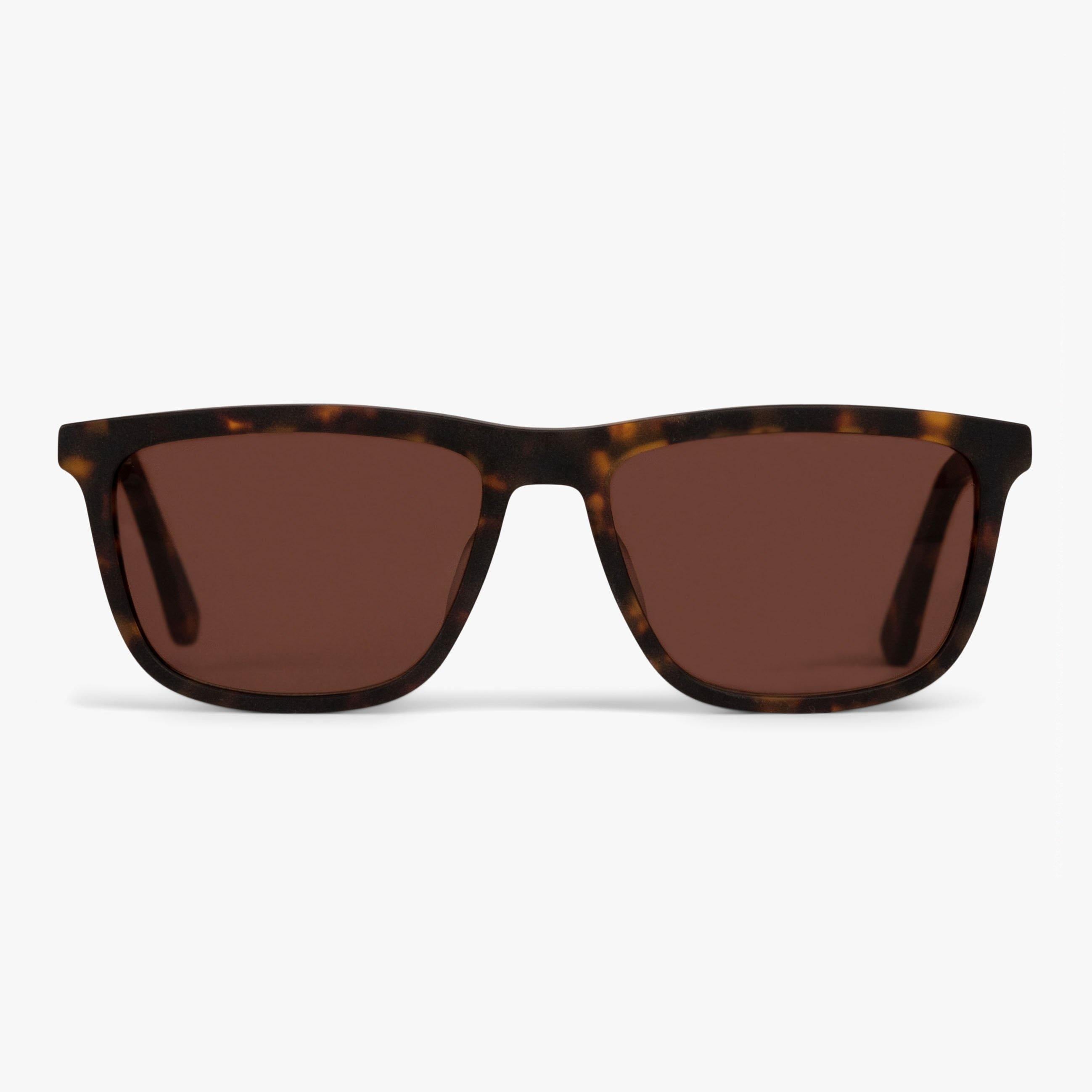 Women's Oslo Dark Turtle sunglasses with tortoiseshell frame and brown lenses