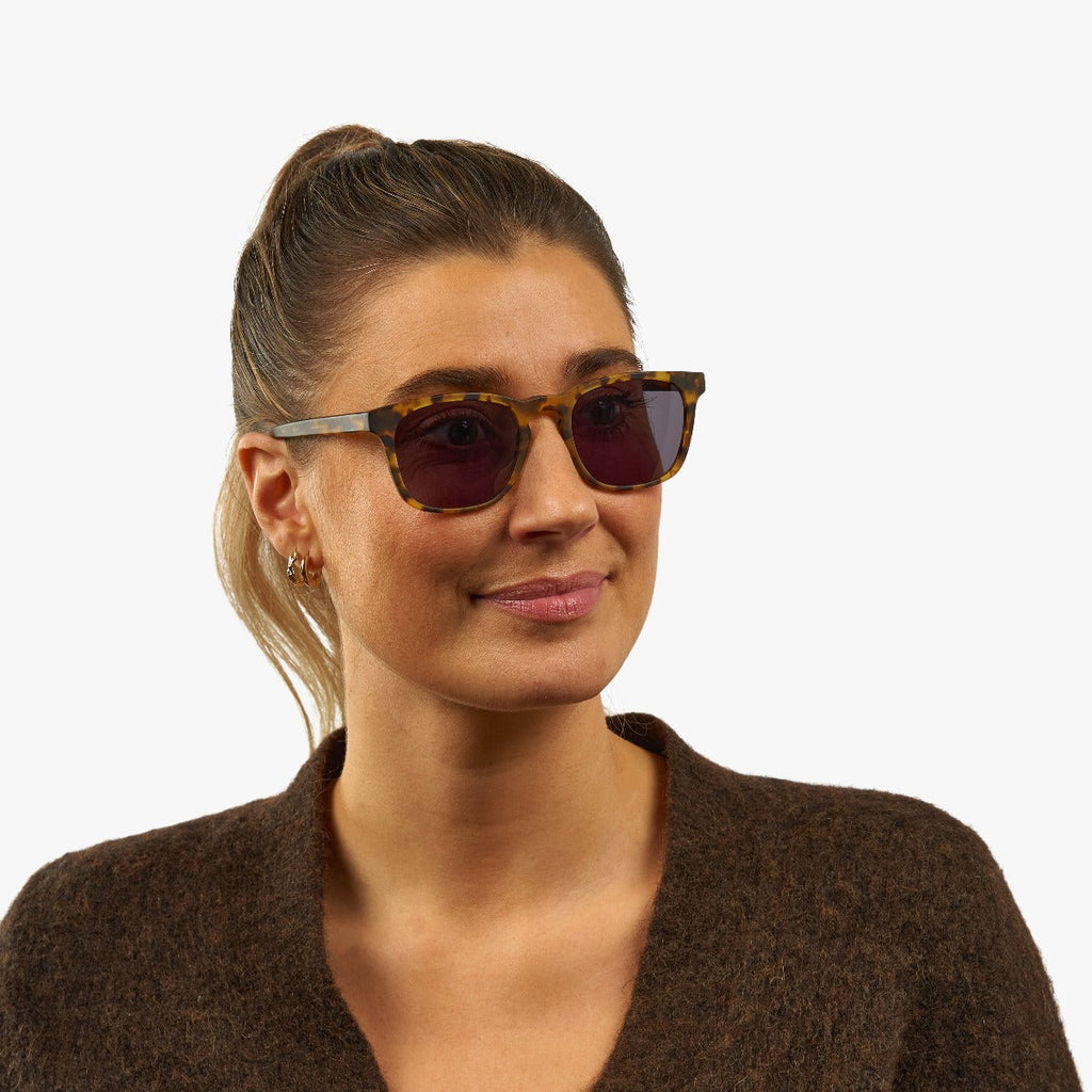 Women's Baker Light Turtle Sunglasses - Luxreaders.co.uk