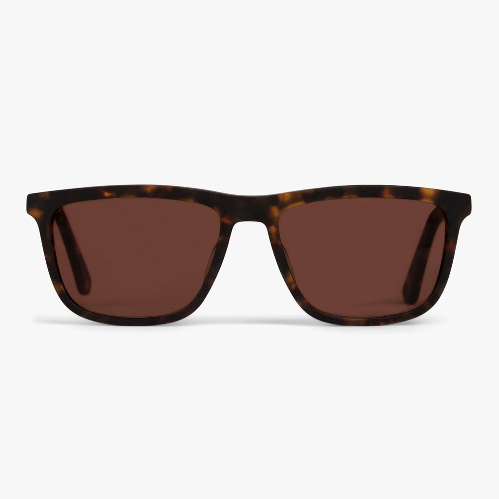 Buy Adams Dark Turtle Sunglasses - Luxreaders.co.uk