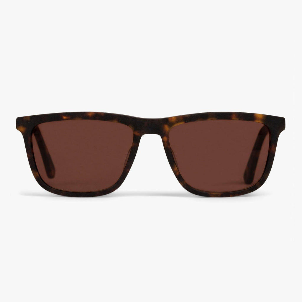 Buy Men's Adams Dark Turtle Sunglasses - Luxreaders.co.uk