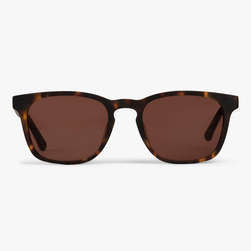 Buy Men's Baker Dark Turtle Sunglasses - Luxreaders.co.uk
