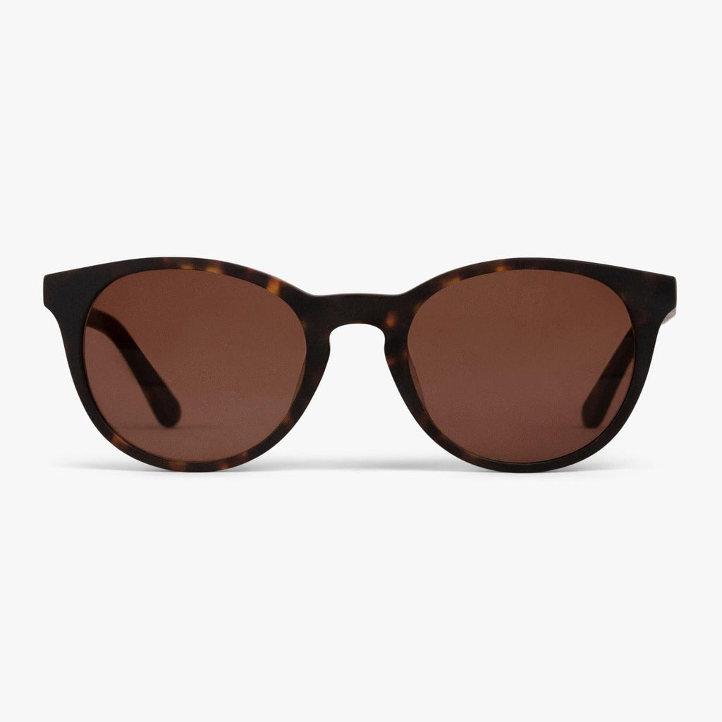 Buy Cole Dark Turtle Sunglasses - Luxreaders.co.uk