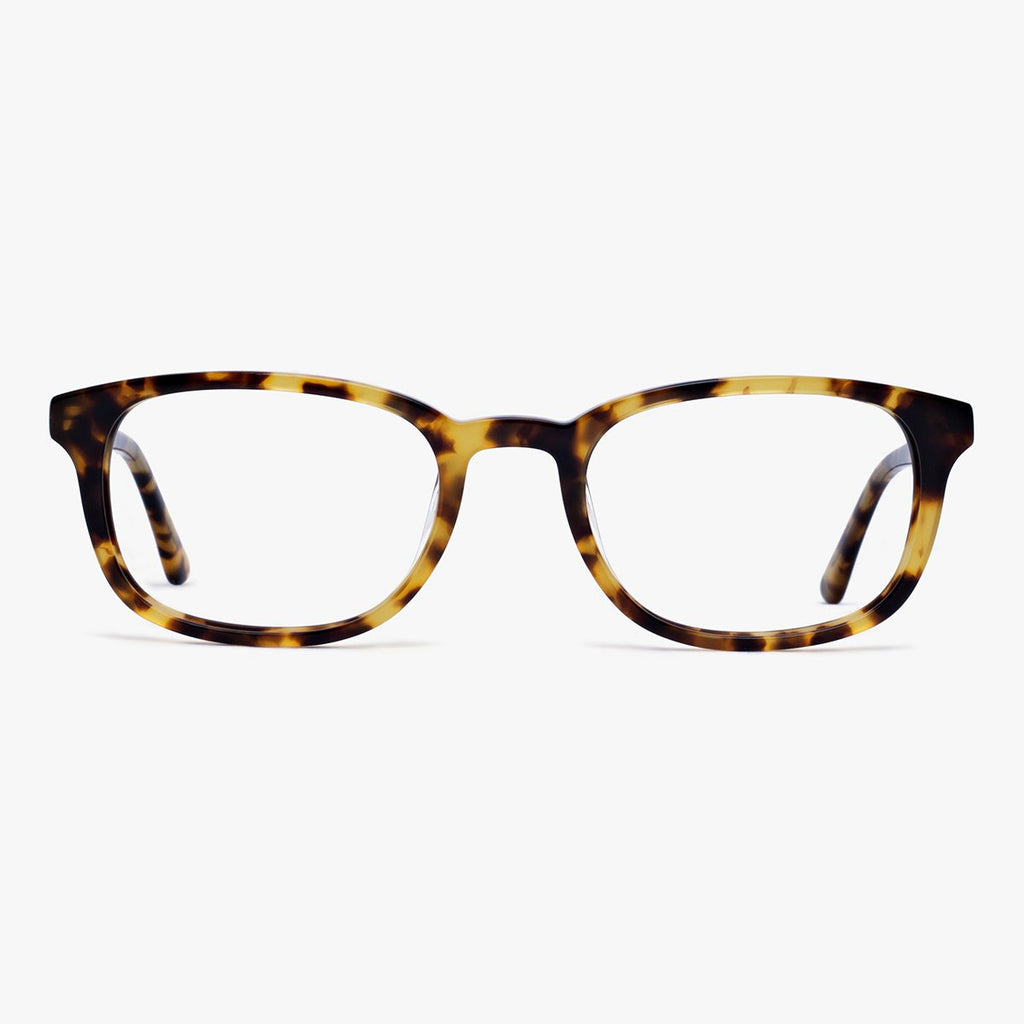 Buy Devon Light Turtle Reading glasses - Luxreaders.co.uk