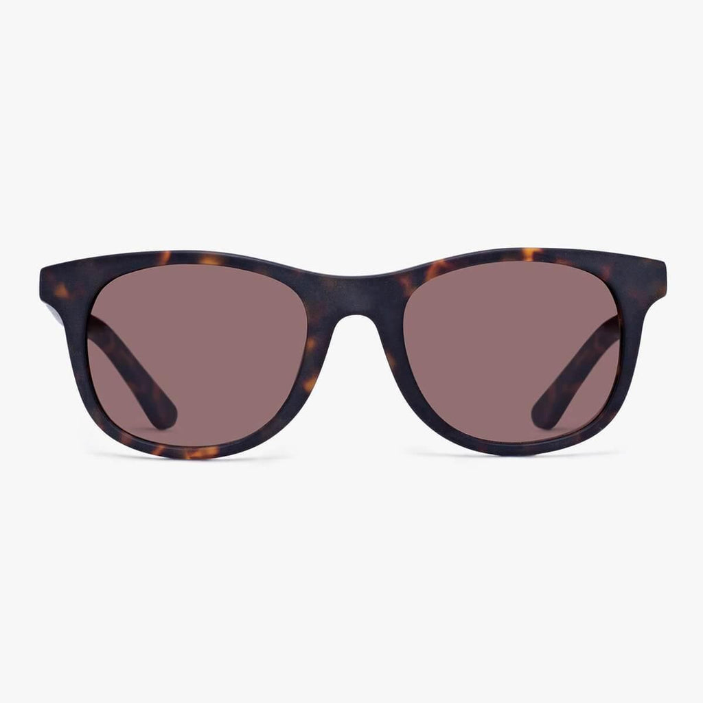 Buy Women's Evans Dark Turtle Sunglasses - Luxreaders.co.uk