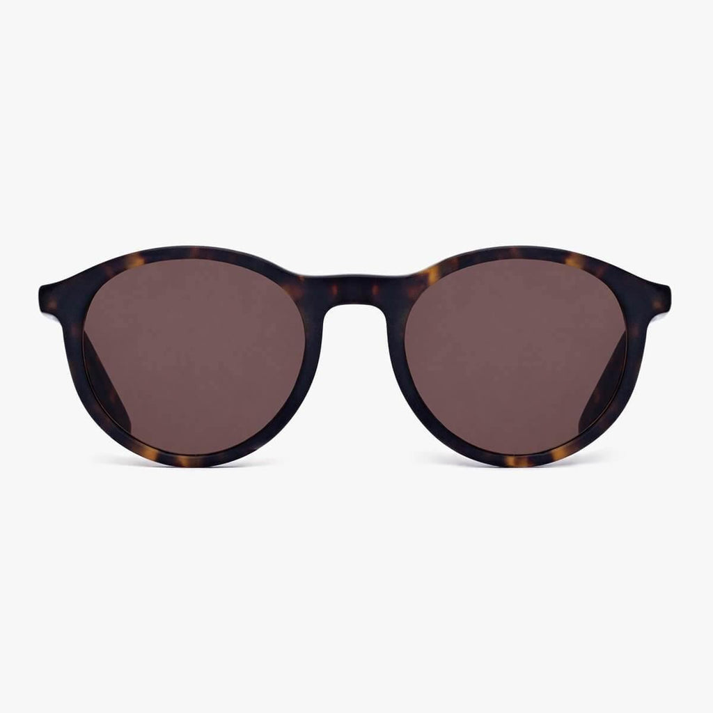 Buy Men's Walker Dark Turtle Sunglasses - Luxreaders.co.uk