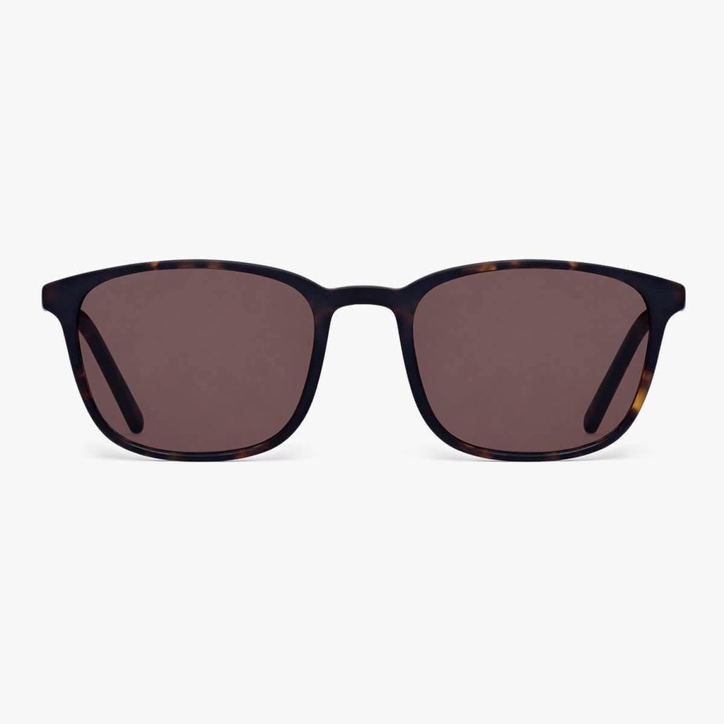 Buy Taylor Dark Turtle Sunglasses - Luxreaders.co.uk