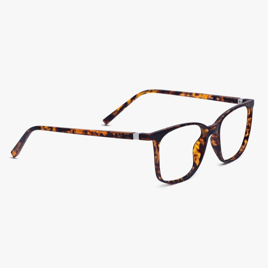 Riley Turtle Reading glasses - Luxreaders.co.uk
