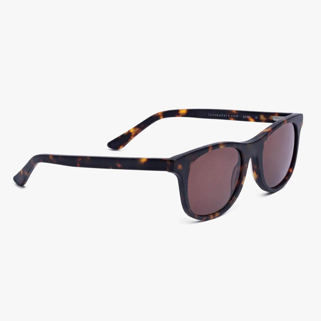 Women's Evans Dark Turtle Sunglasses - Luxreaders.co.uk