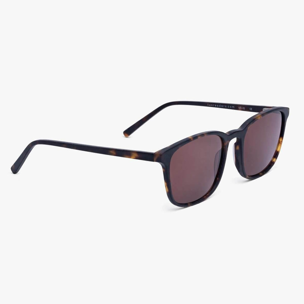 Men's Taylor Dark Turtle Sunglasses - Luxreaders.co.uk