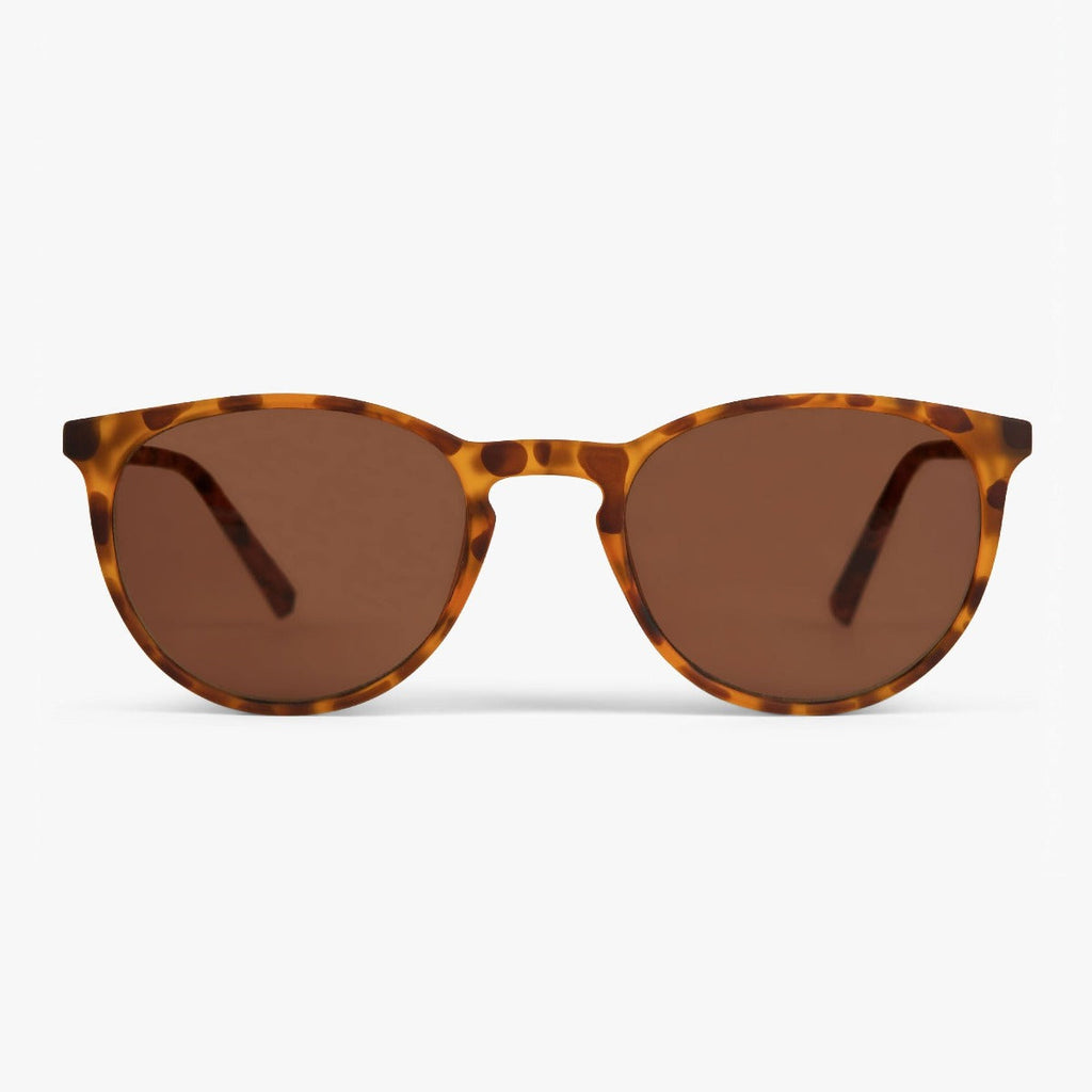 Buy Men's Edwards Turtle Sunglasses - Luxreaders.co.uk