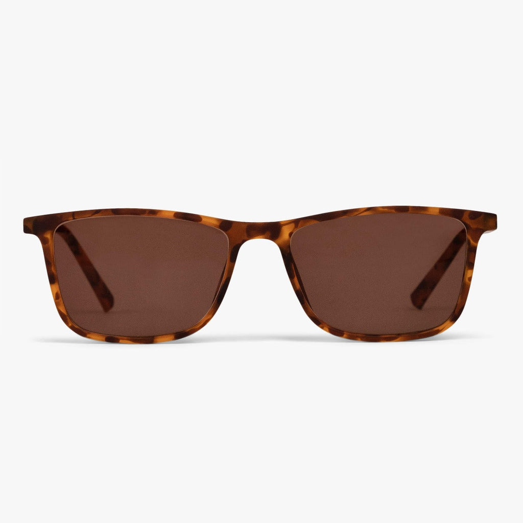 Buy Lewis Turtle Sunglasses - Luxreaders.co.uk